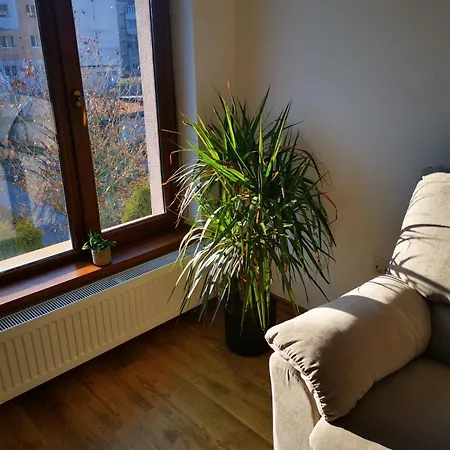 Marasti Bellatrix Cluj-Napoca