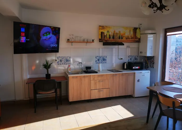 Apartment Marasti Bellatrix *