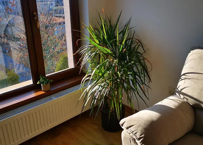 Marasti Bellatrix Cluj-Napoca